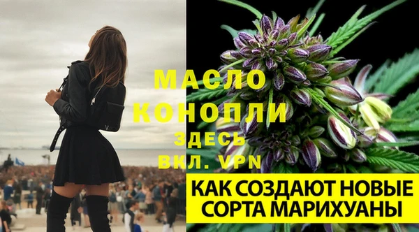 трава Верхнеуральск