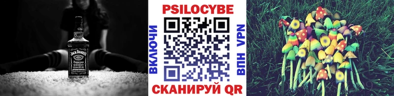 Галлюциногенные грибы Psilocybine cubensis  сколько стоит  Галич 